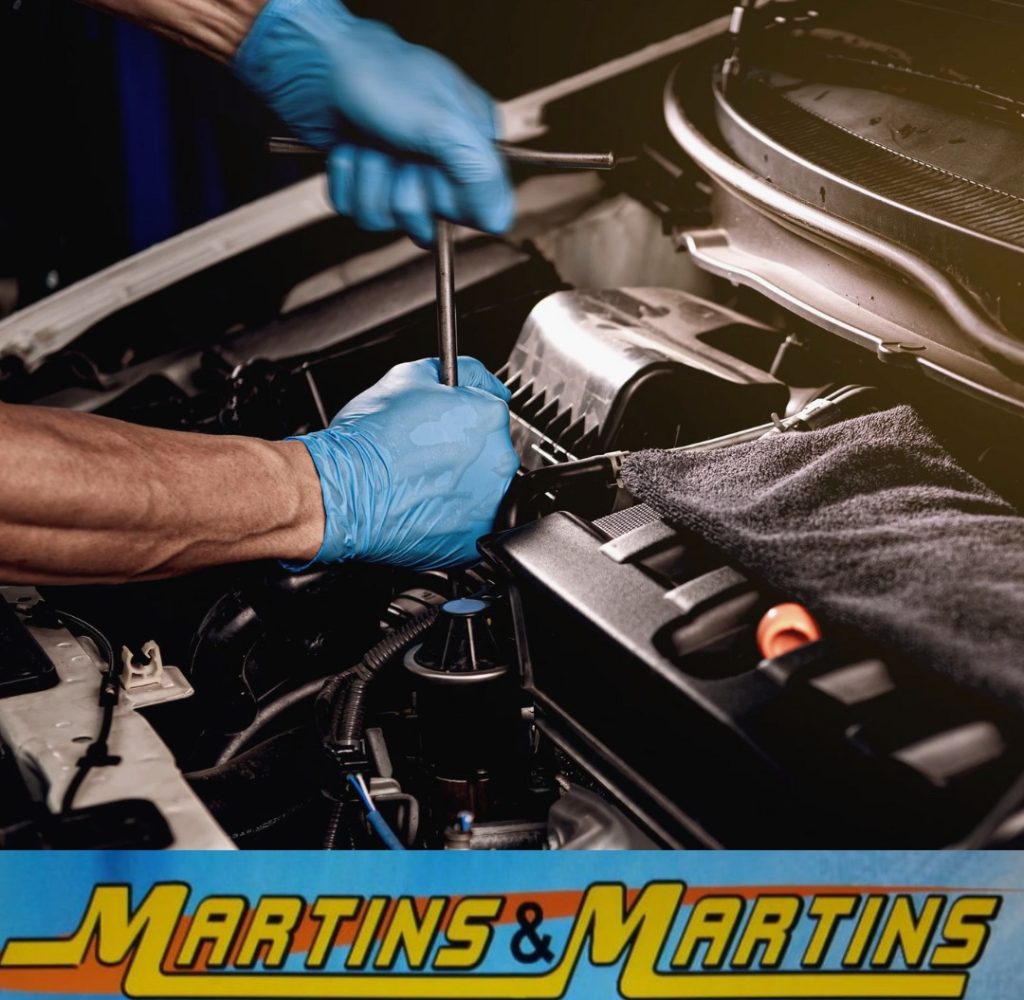 martins logo
